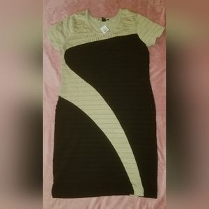 Ashley Stewart's Body Con Dress